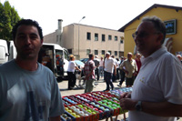 Clicca sulla foto per vedere ingrandimento